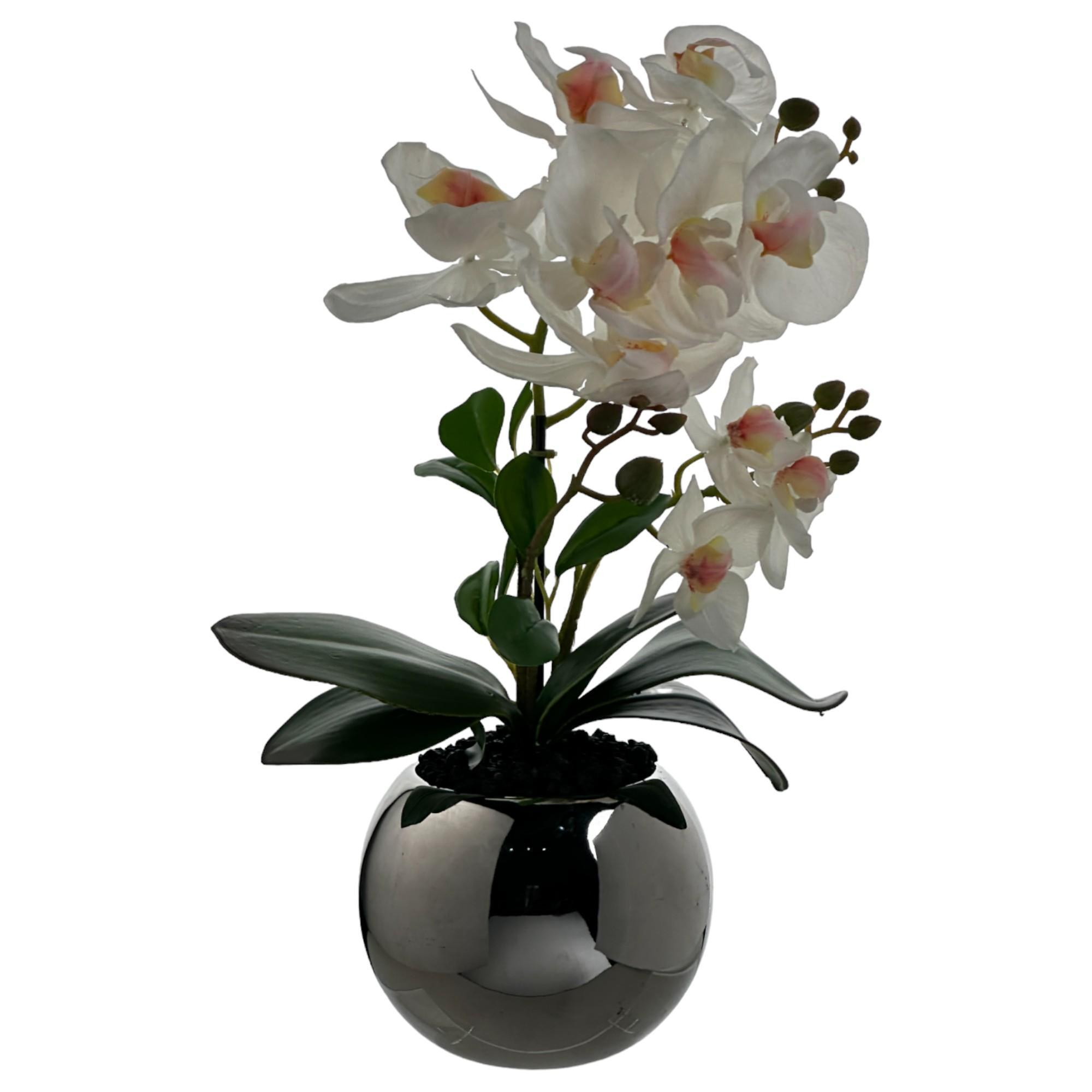 Orquídea blanca en base negra