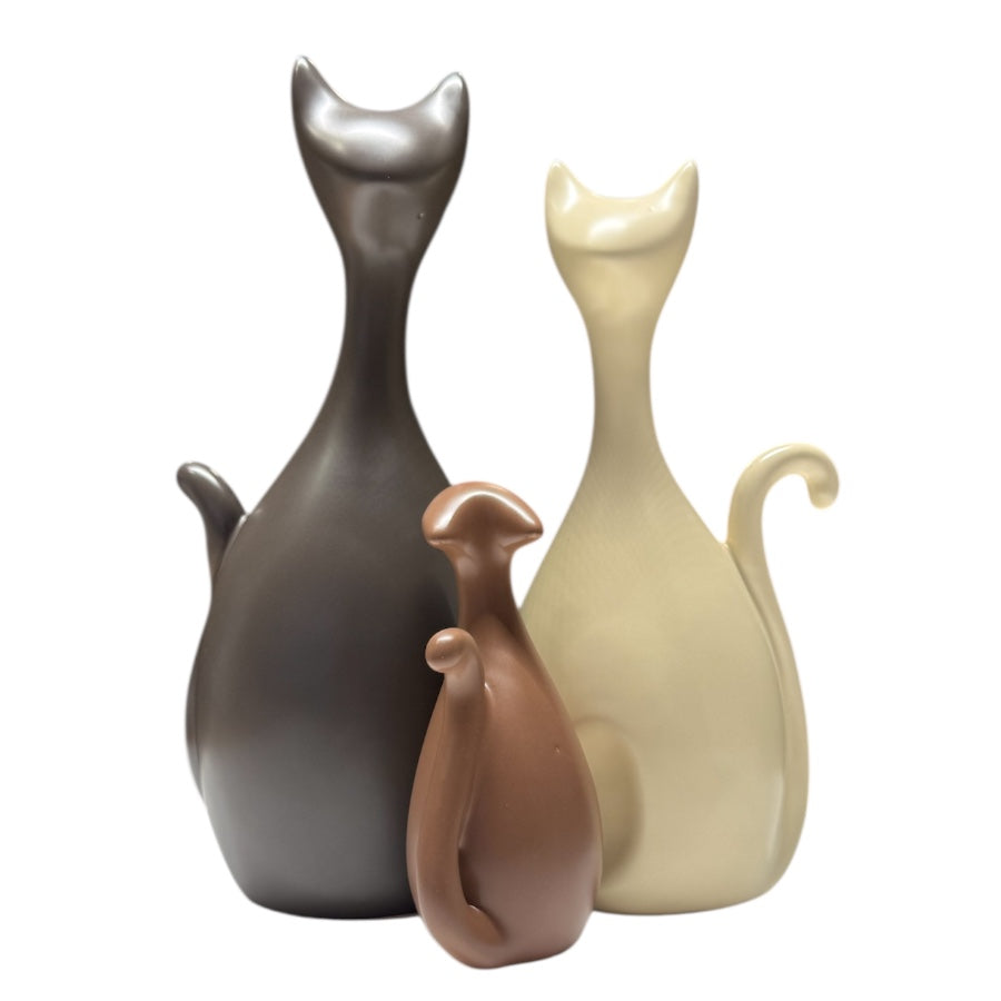 Set  gatos