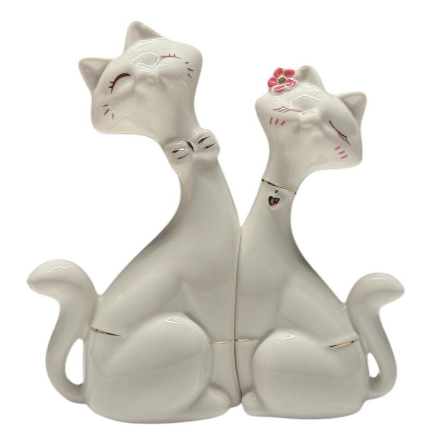 Set  gatos