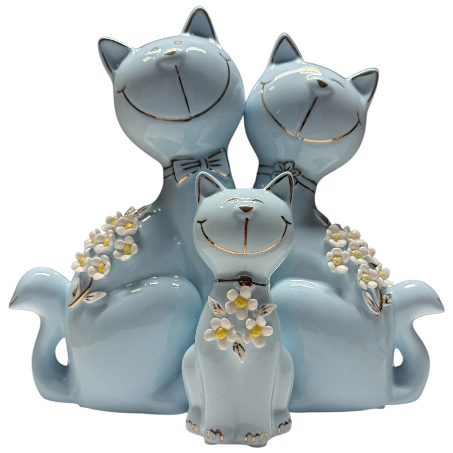 Set  gatos