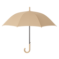 Paraguas Bastón Sólido