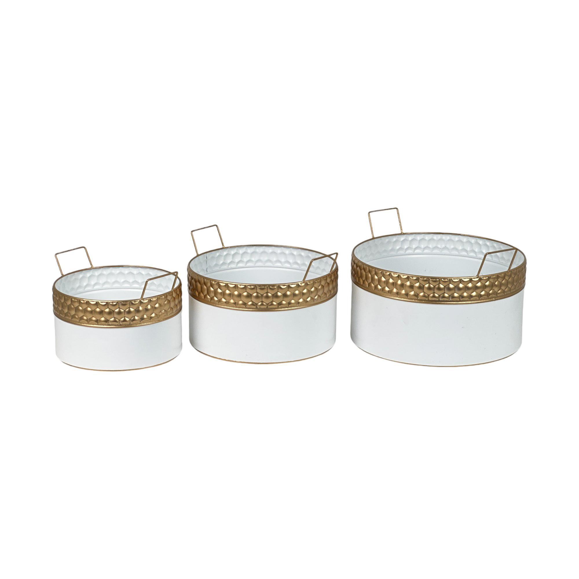 Set de bases de árbol