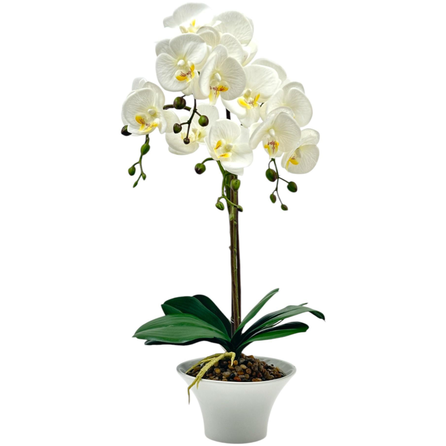 Orquídea blanca con base cónica