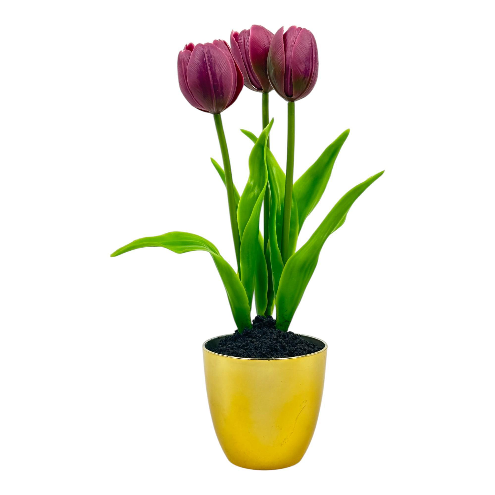 Tulipanes morados en maceta dorada
