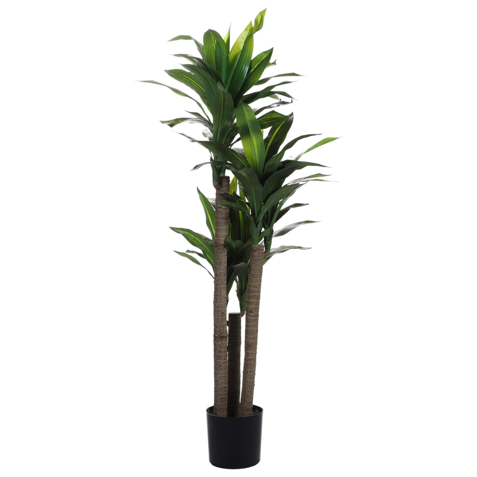 Planta alta verde brillante