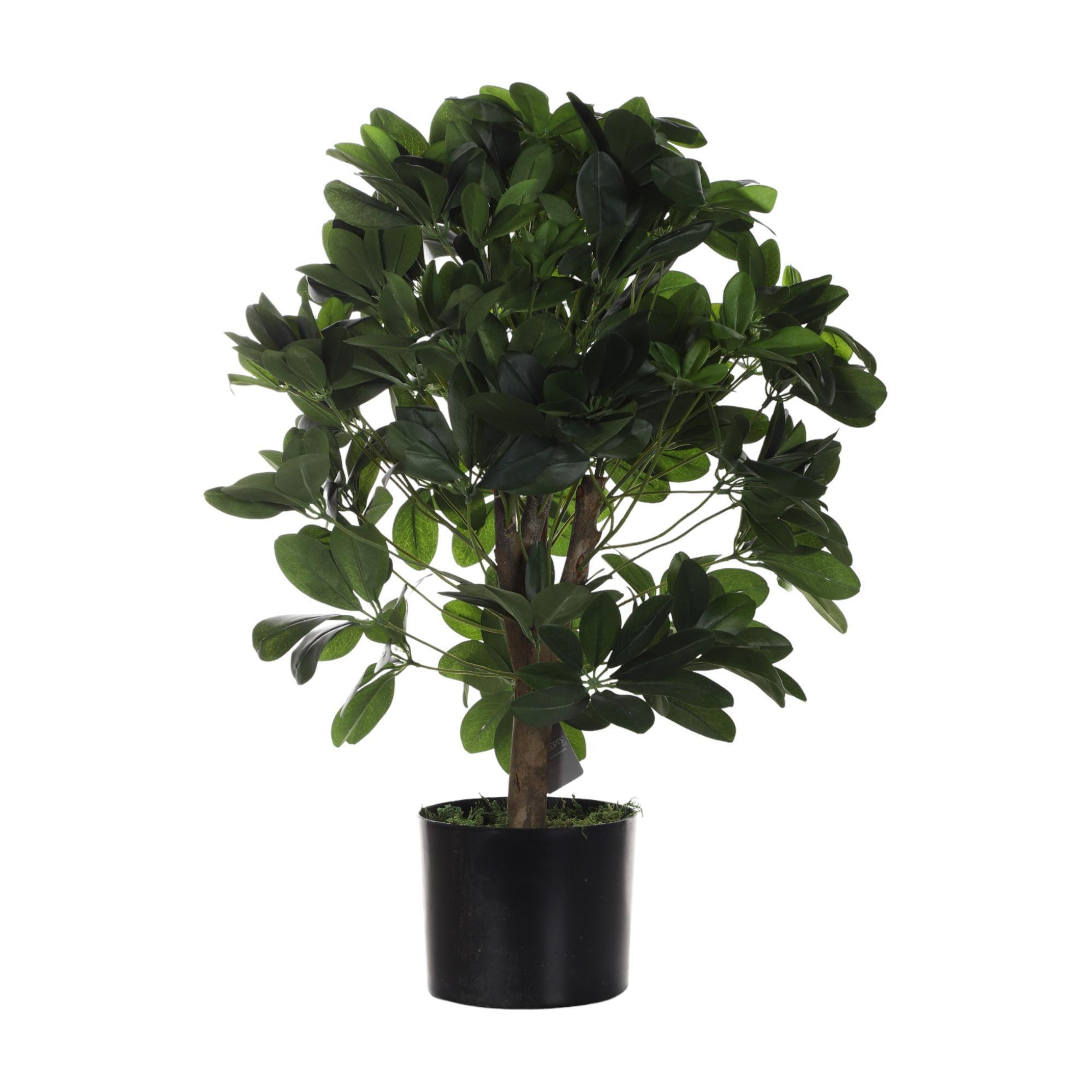 Árbol artificial hojas redondas