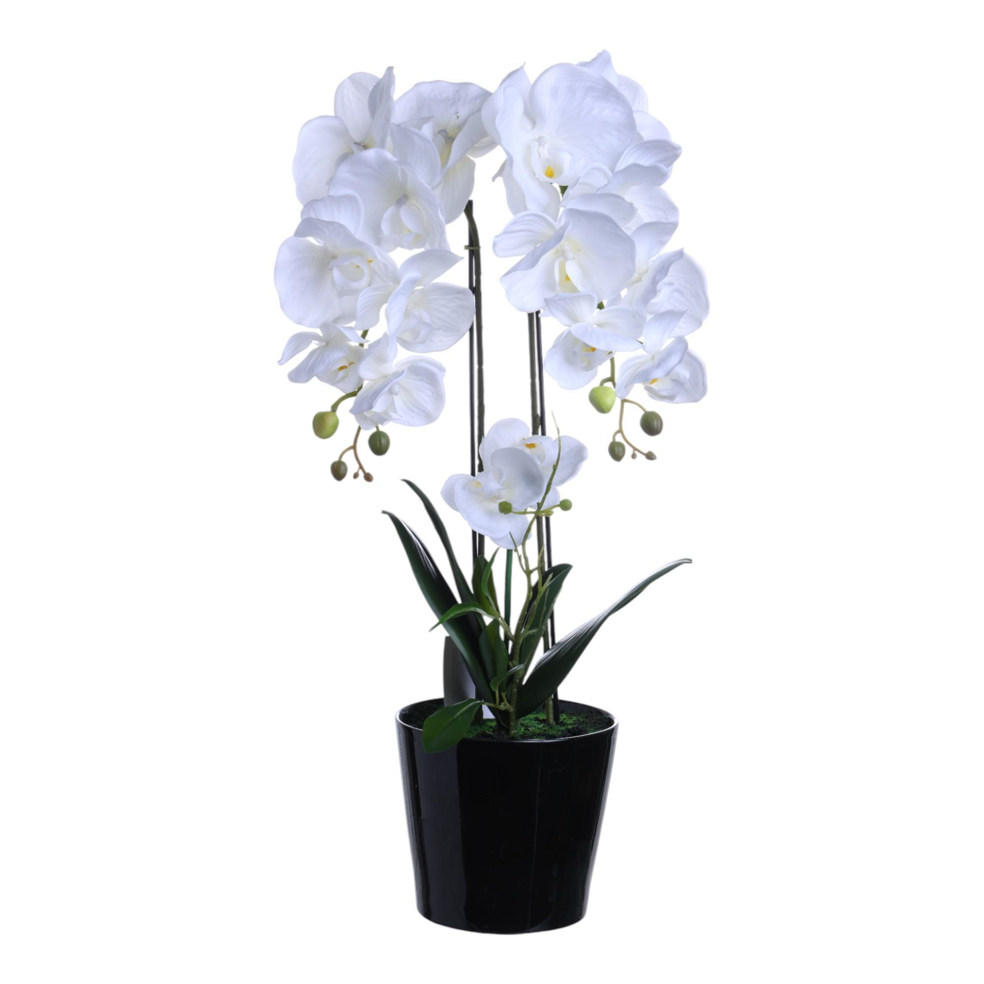 Orquídea blanca artificial